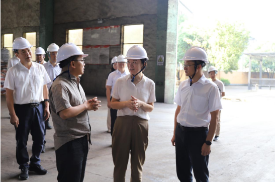 自治区党委常委、副主席卢新宁到集团公司开展实体经济专题调研